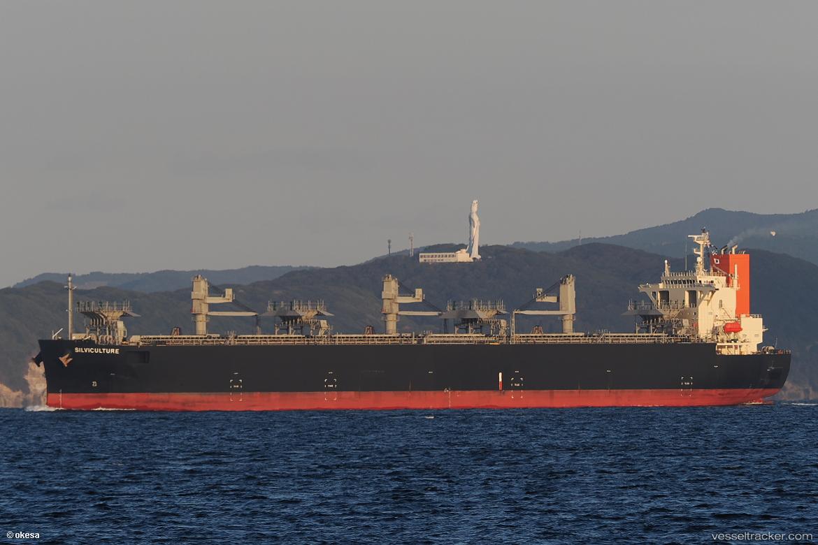 Silviculture - Wood Chips Carrier vessel