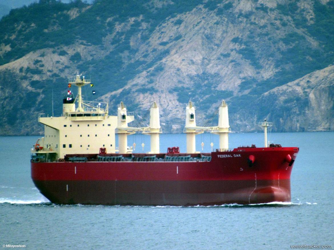 Federal-Oak - Bulk Carrier vessel