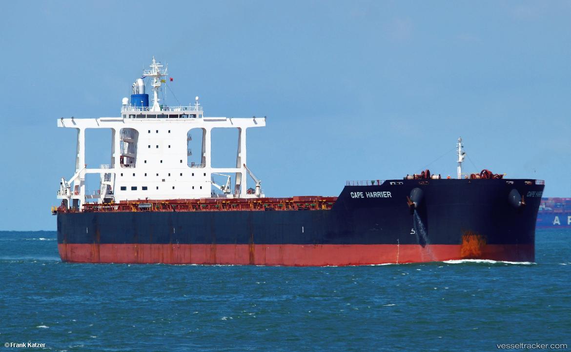 Cape-Harrier - Bulk Carrier vessel