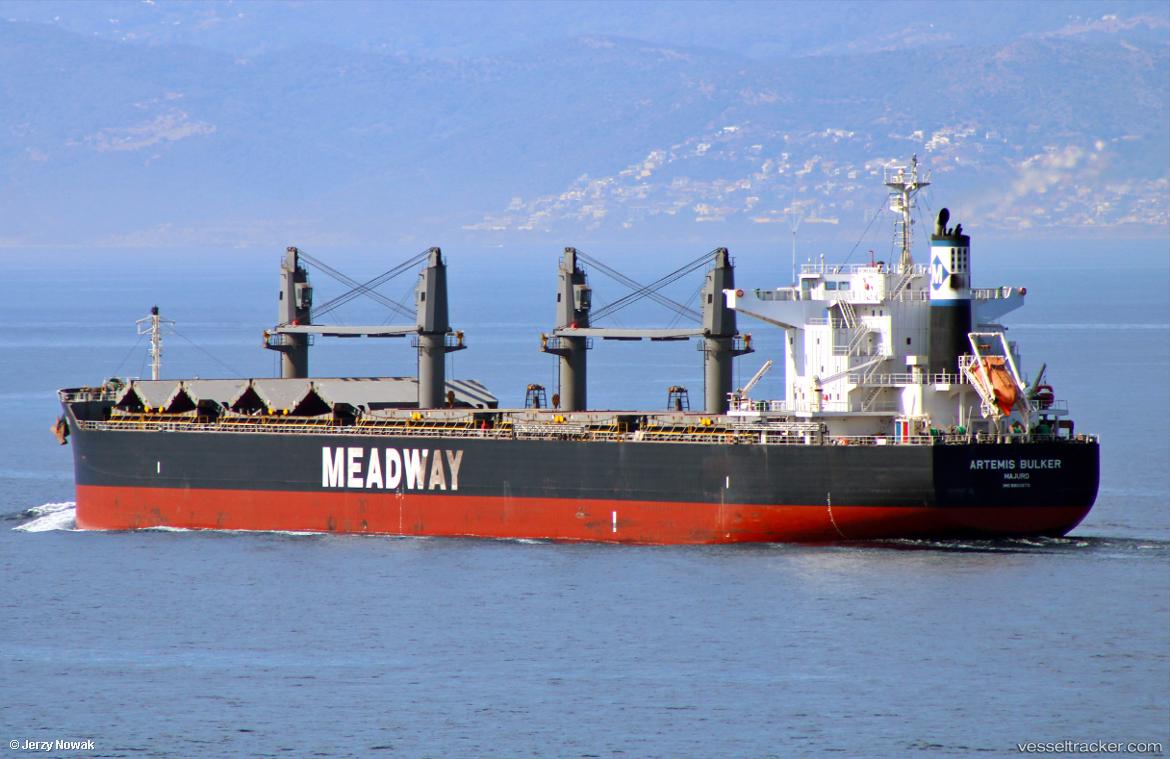 Artemis-Bulker - Bulk Carrier vessel
