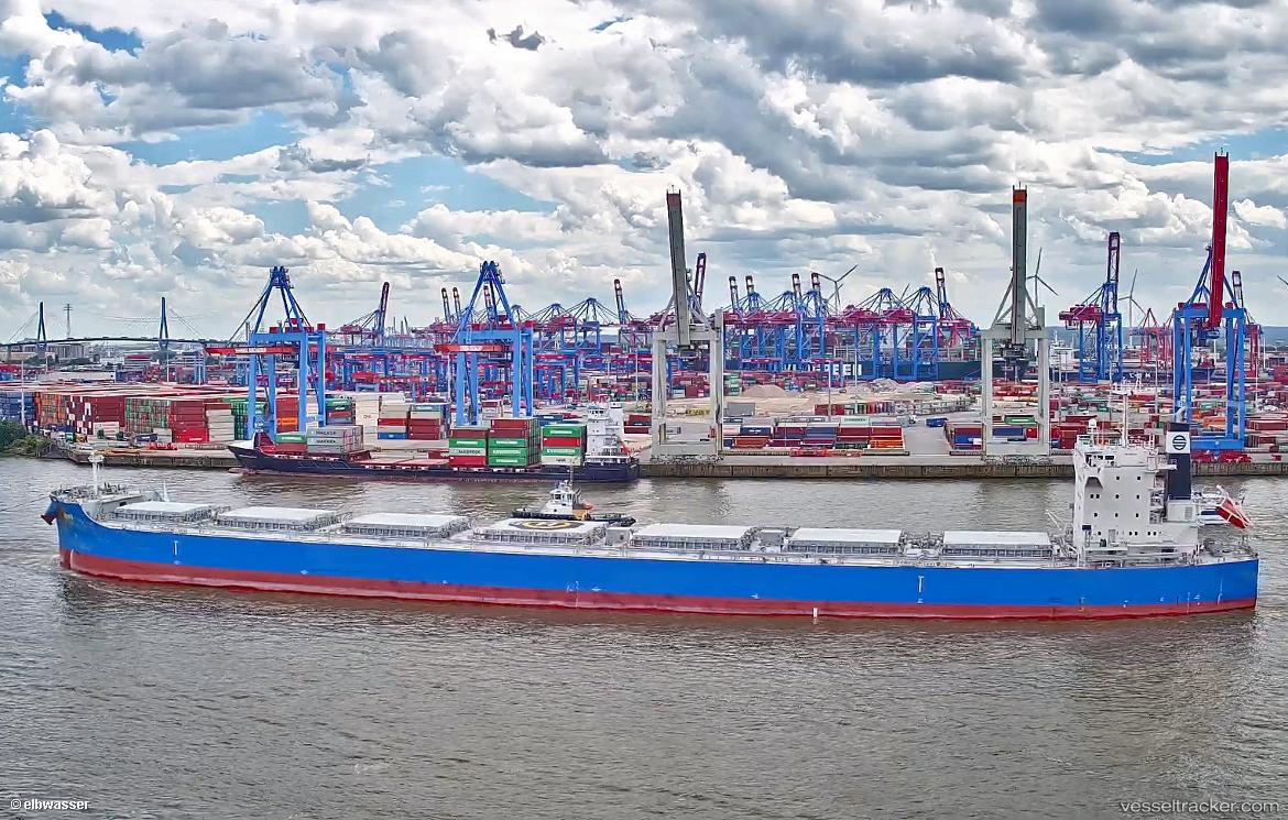 Mint - Bulk Carrier vessel