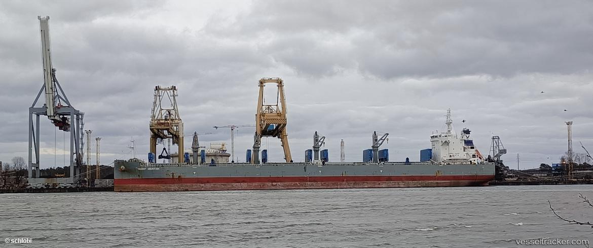 Elizabeth-M-Ii - Bulk Carrier vessel