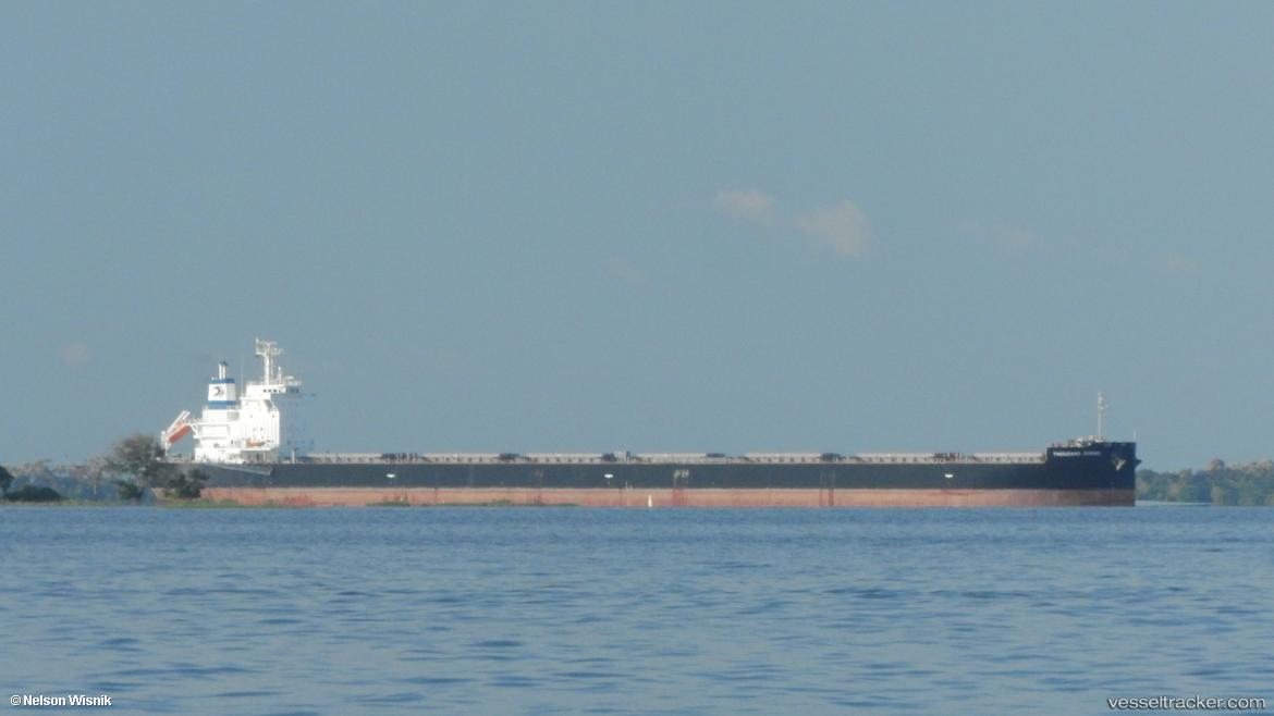 Thousand-Spring - Bulk Carrier vessel