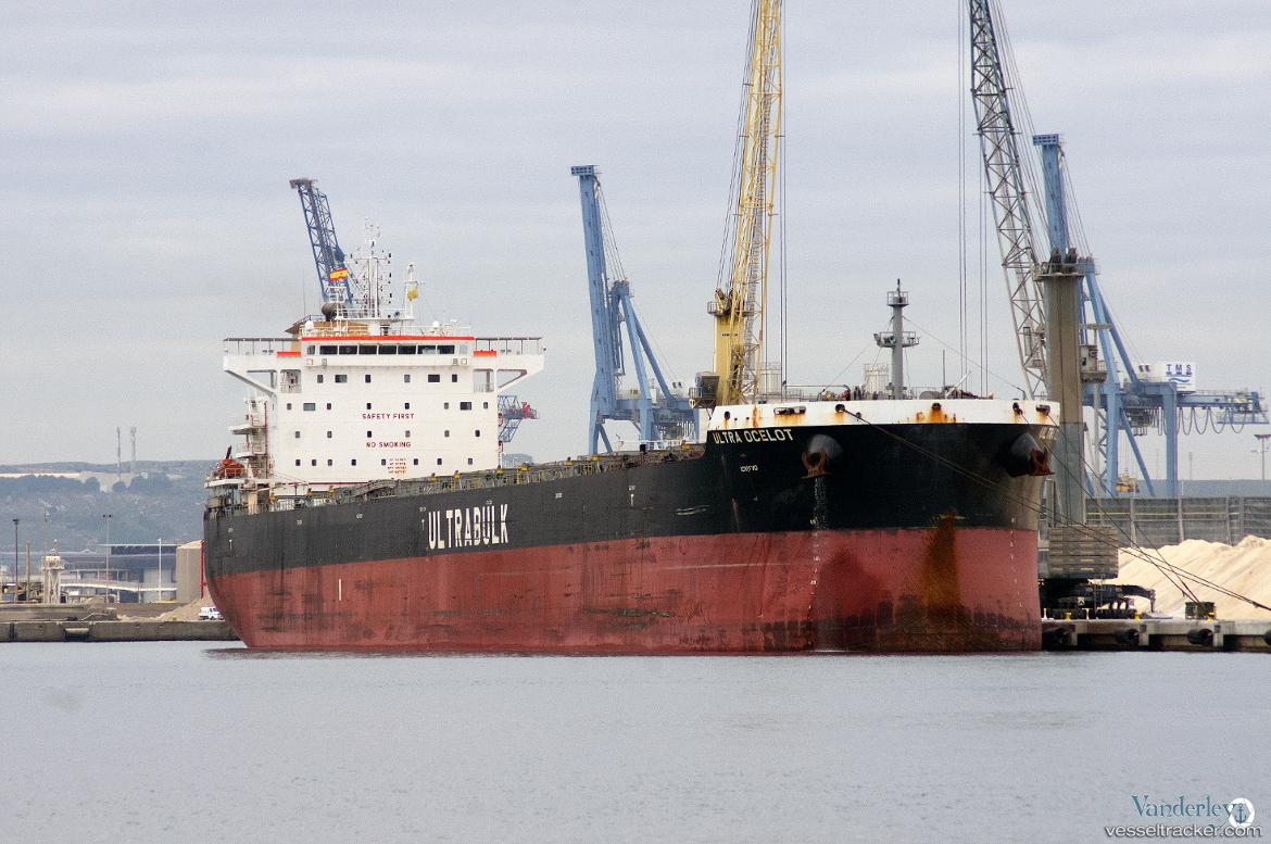 Ultra-Ocelot - Bulk Carrier vessel