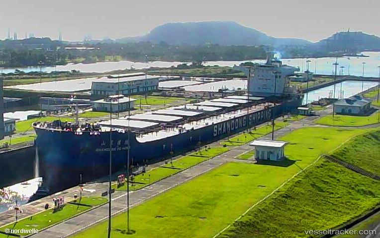 Shandong-De-Hong - Bulk Carrier vessel