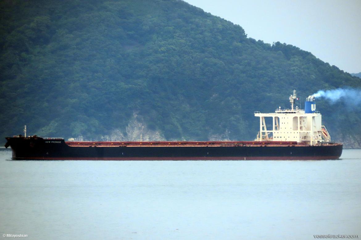 New-Promise - Bulk Carrier vessel