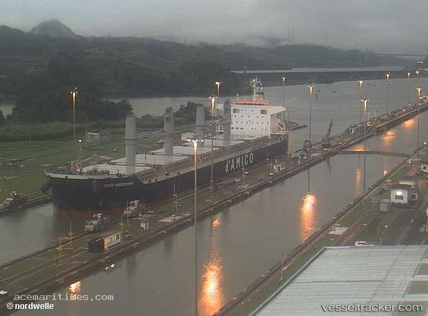 Medi-Hiroshima - Bulk Carrier