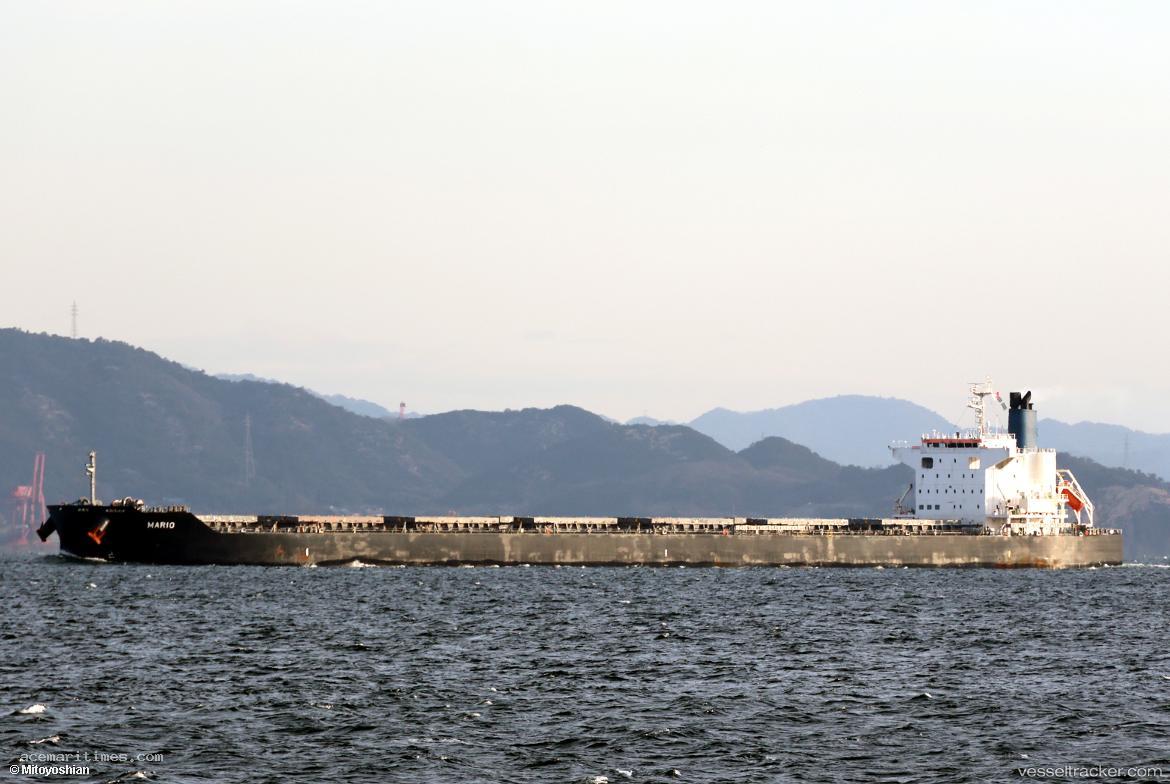 Mario - Bulk Carrier