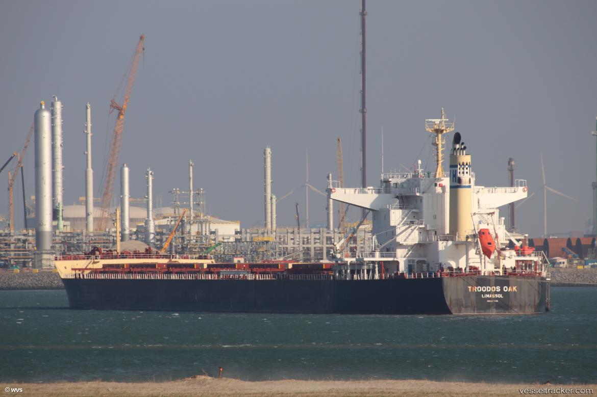 Troodos-Oak - Bulk Carrier vessel