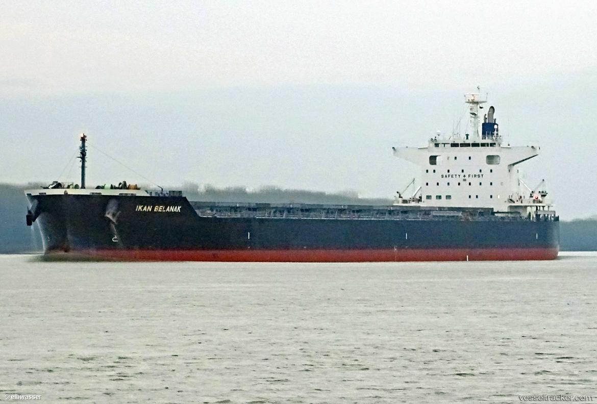 Ikan-Belanak - Bulk Carrier vessel