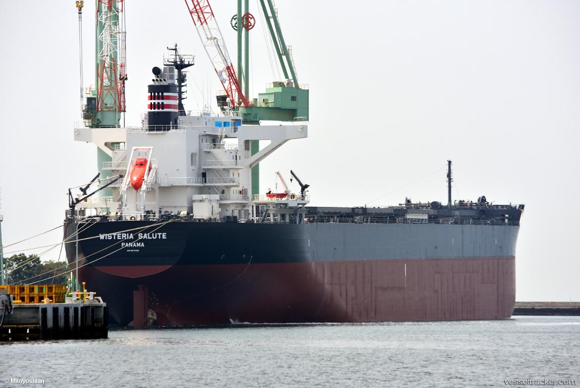 Wisteria-Salute - Bulk Carrier vessel