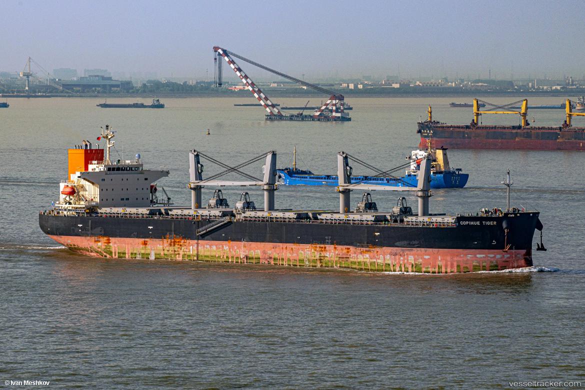 Copihue-Tiger - General Cargo Ship vessel