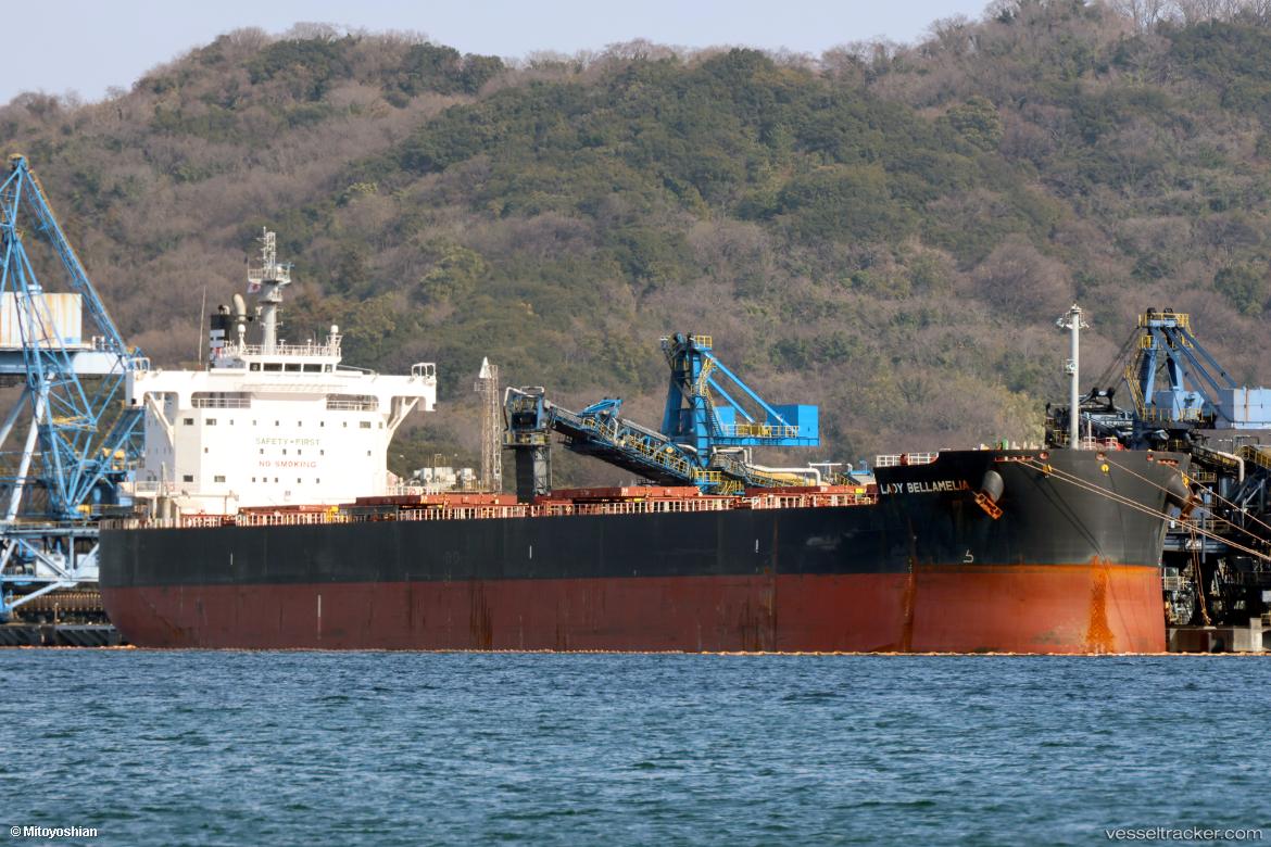 Lady-Bellamelia - Bulk Carrier vessel