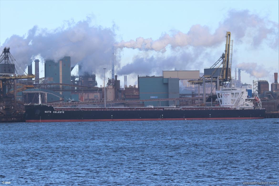 Sdtr-Celeste - Bulk Carrier vessel