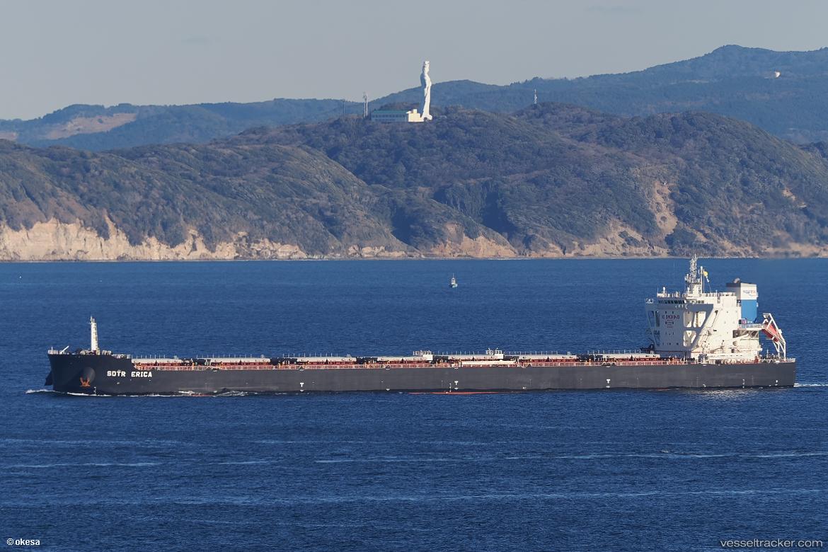 Sdtr-Erica - Bulk Carrier vessel