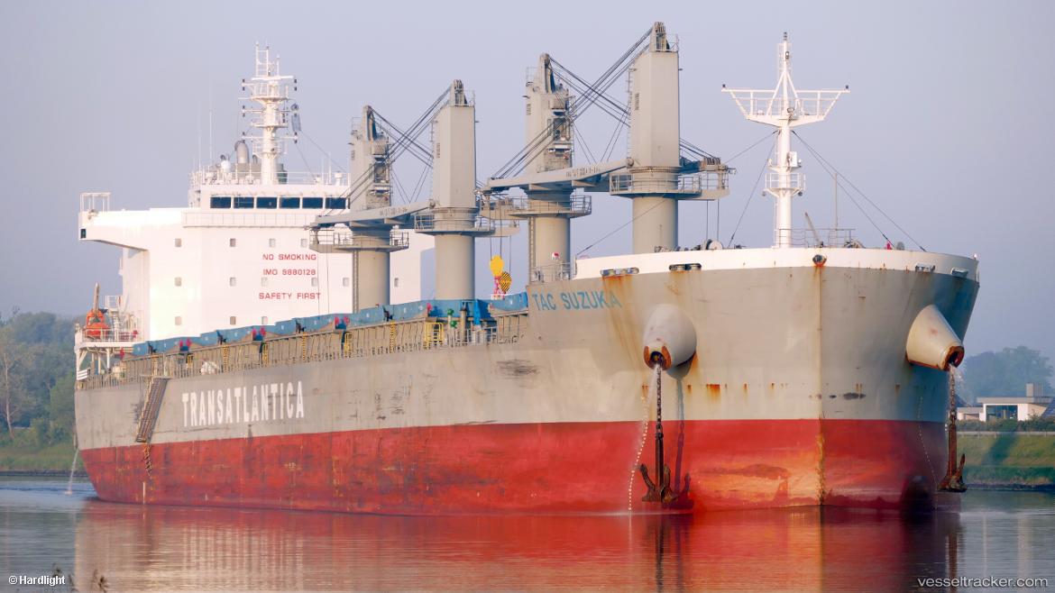 Tac-Suzuka - Bulk Carrier vessel