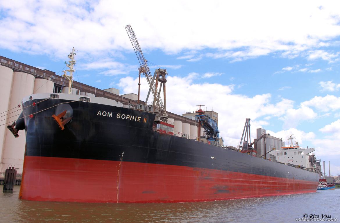 Aom-Sophie-Ii - Bulk Carrier vessel