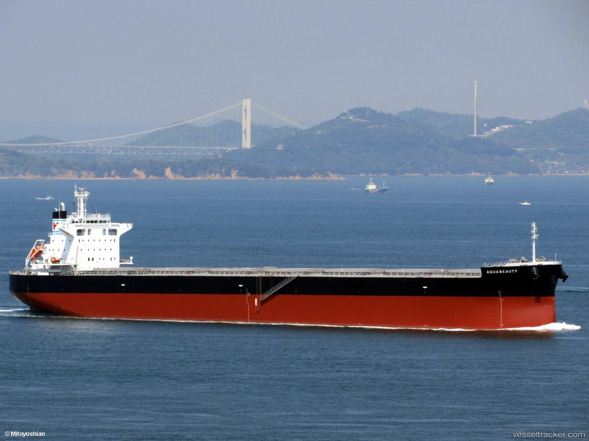 Aquabeauty - Bulk Carrier vessel