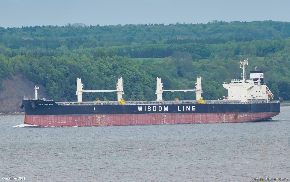 Amis-Unicorn - Bulk Carrier vessel