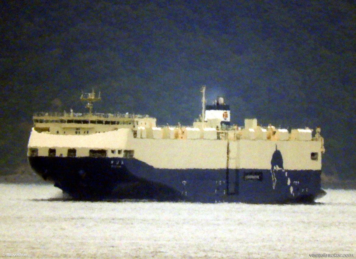 Hoyo-Maru - Ro Ro Cargo Ship vessel