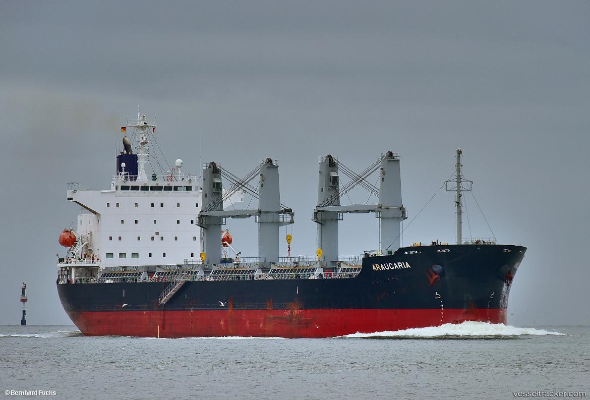 Araucaria - Bulk Carrier vessel