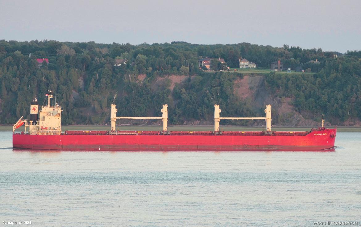 Federal-Izumi - Bulk Carrier vessel