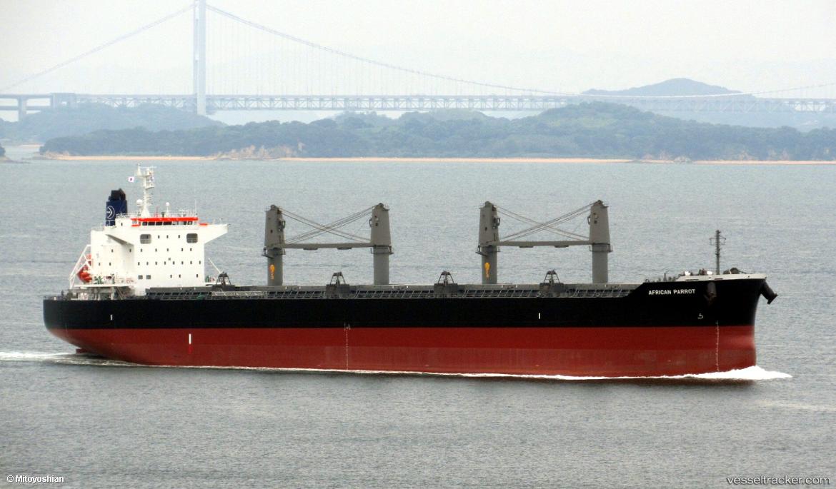 African-Parrot - Bulk Carrier vessel