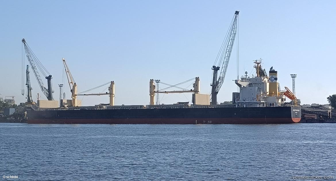 Desert-Virtue - Bulk Carrier vessel