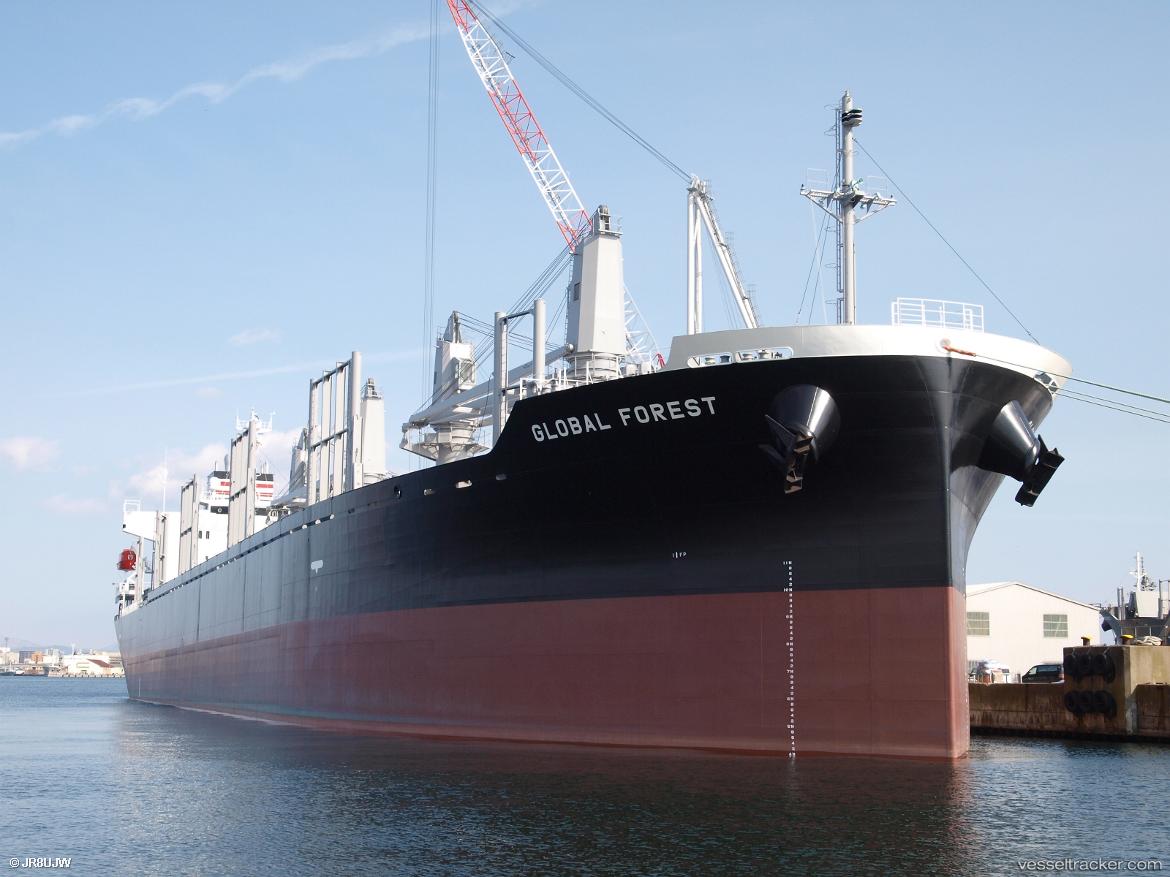 Global-Forest - Bulk Carrier vessel