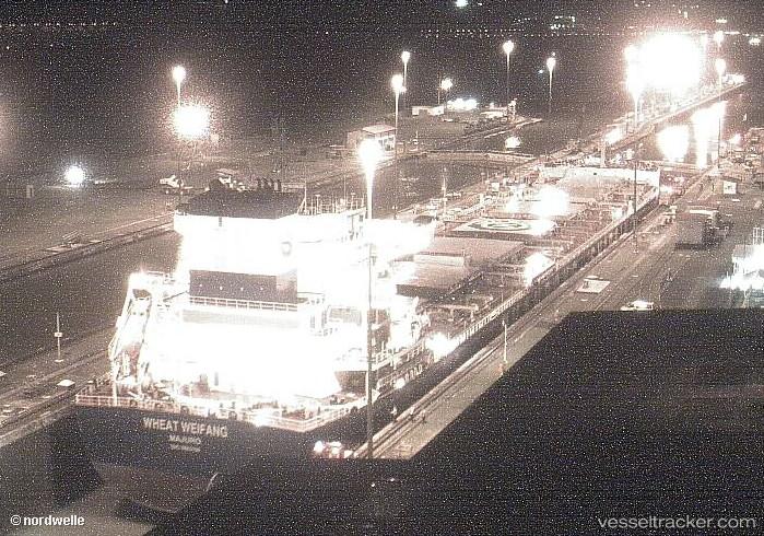 Wheat-Weifang - Bulk Carrier vessel