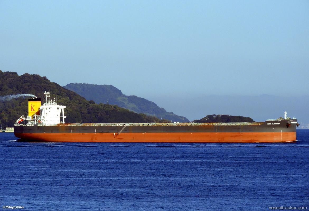 Azul-Harmony - Bulk Carrier vessel