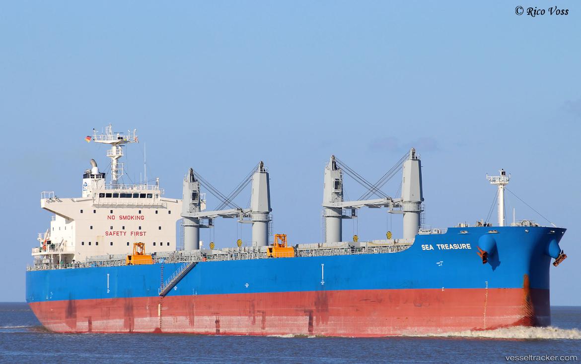 Sea-Treasure - Bulk Carrier vessel