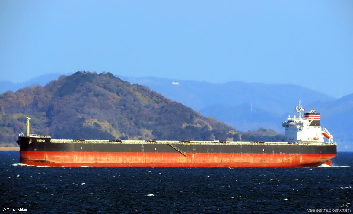 Seiyu - Bulk Carrier vessel