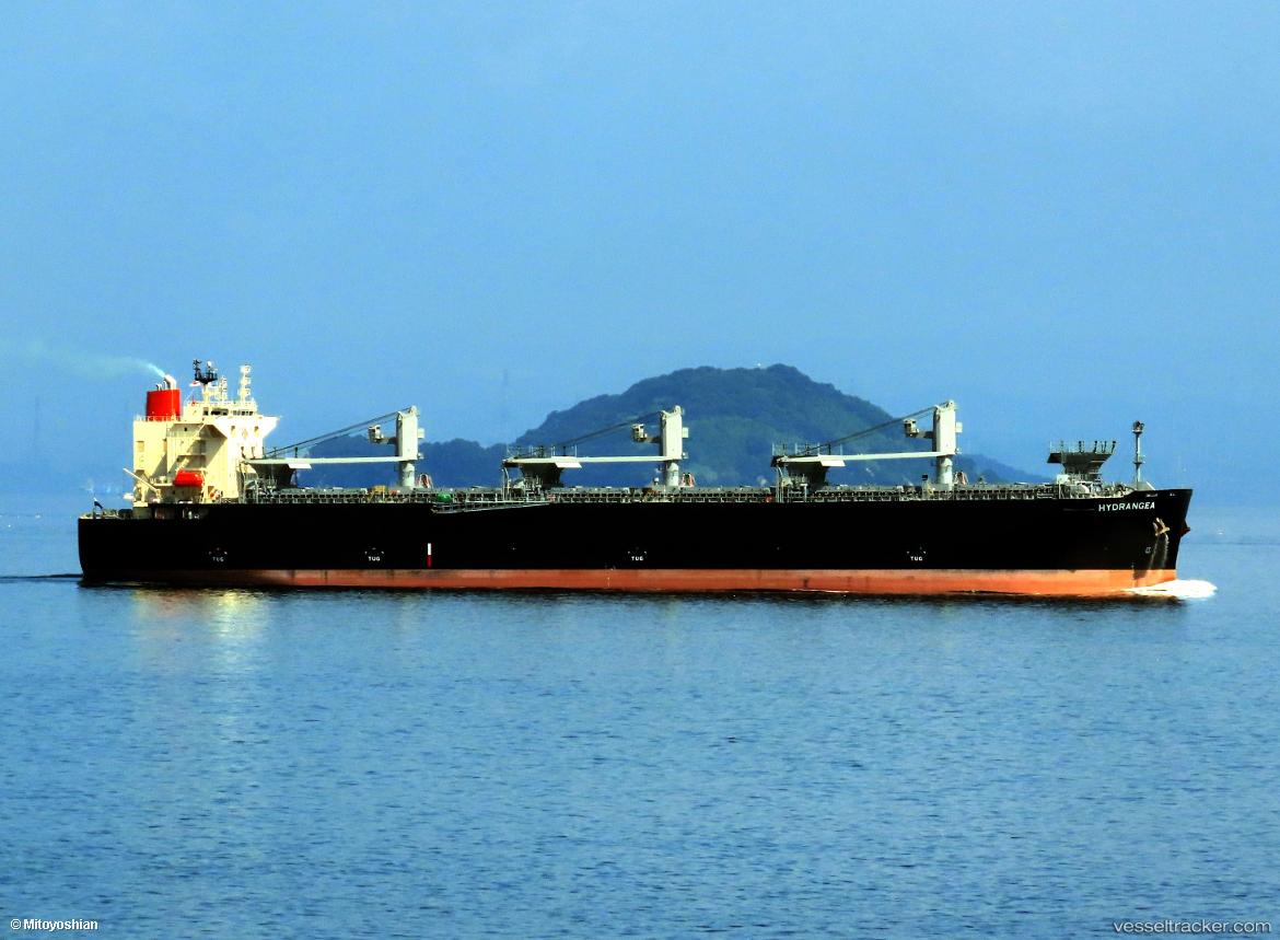 Hydrangea - Wood Chips Carrier vessel