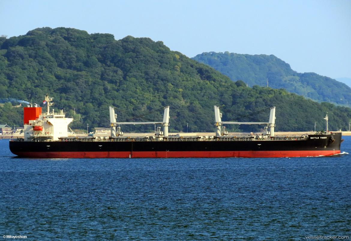 Wattle-Tiger - General Cargo Ship vessel