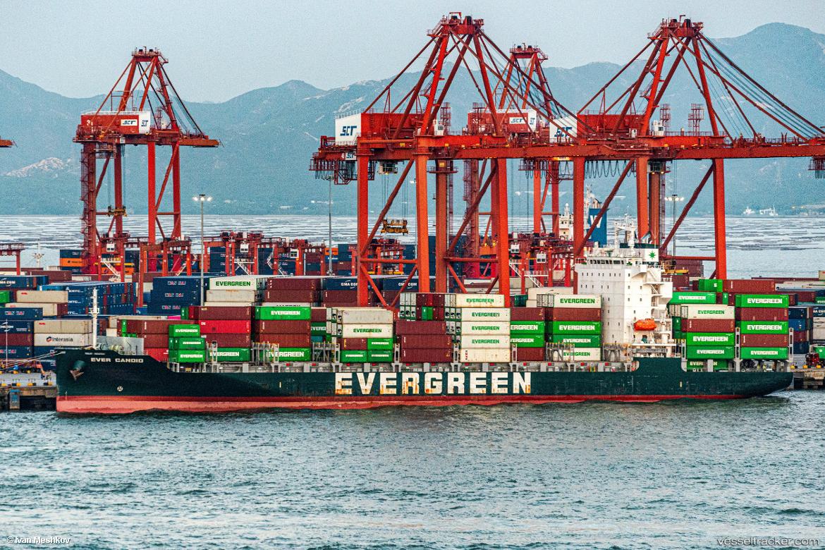 Ever-Candid - Container Ship vessel