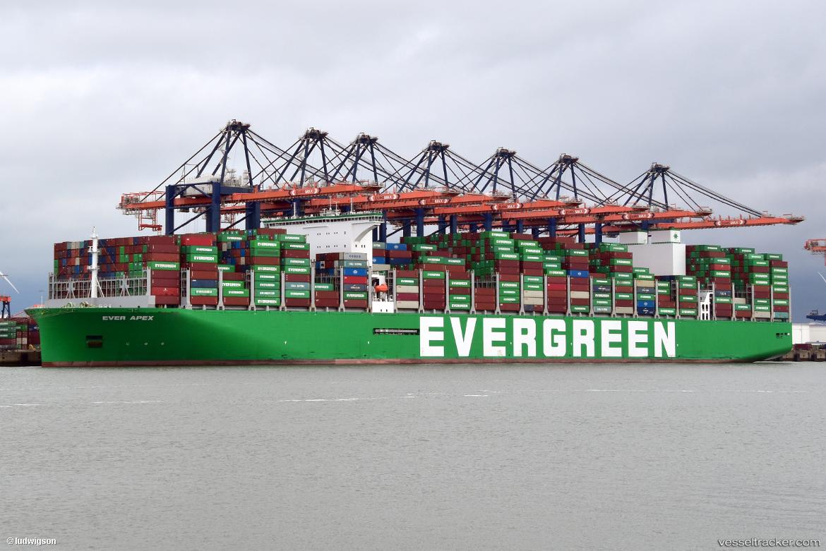 Ever-Apex - Container Ship vessel