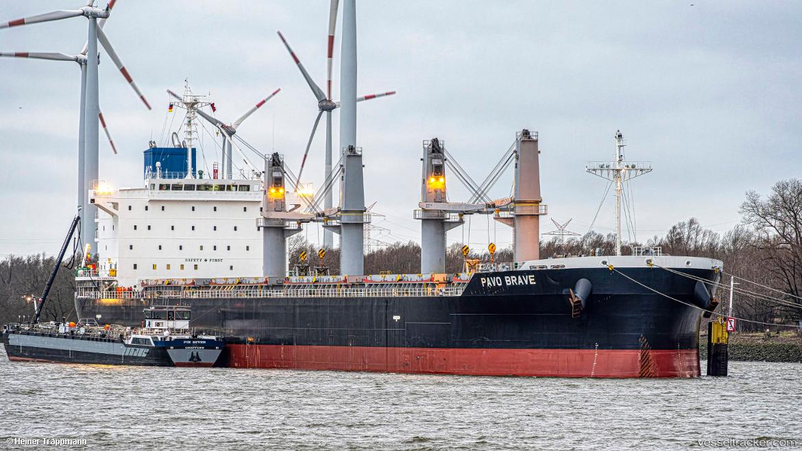 Pavo-Brave - Bulk Carrier vessel