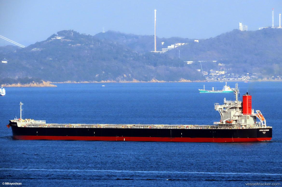 Lotus-Blossom - Bulk Carrier vessel