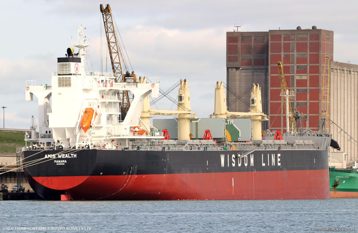 Amis-Wealth - Bulk Carrier vessel