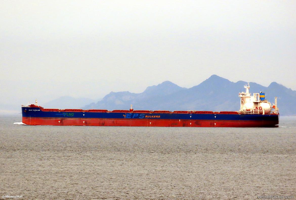 Mount-Tourmaline - Bulk Carrier vessel