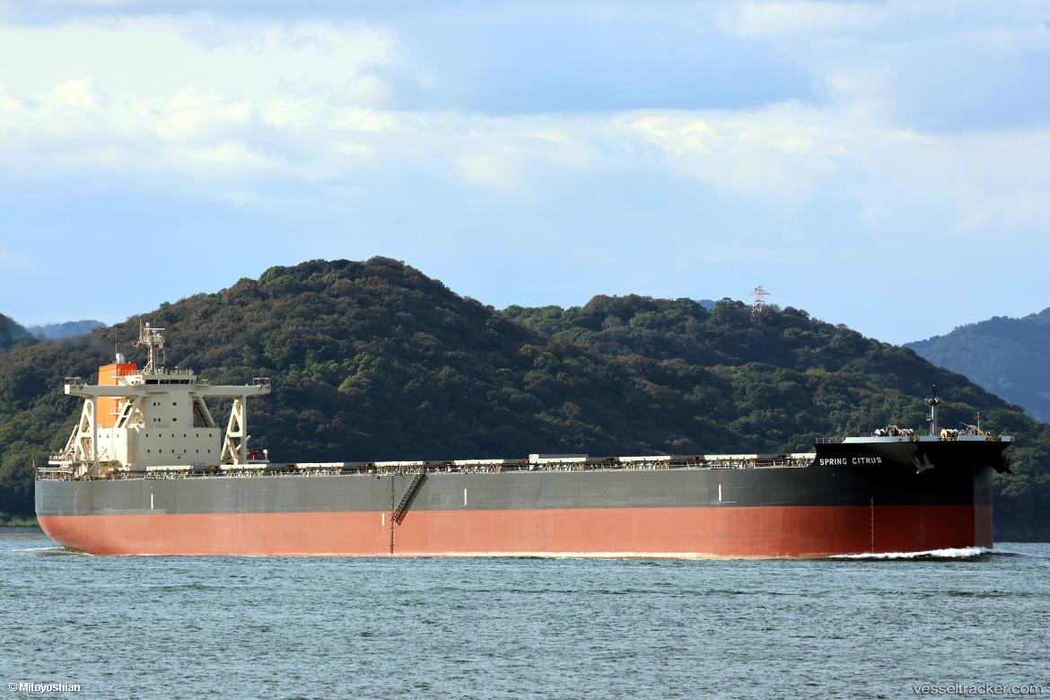 Spring-Citrus - Bulk Carrier vessel