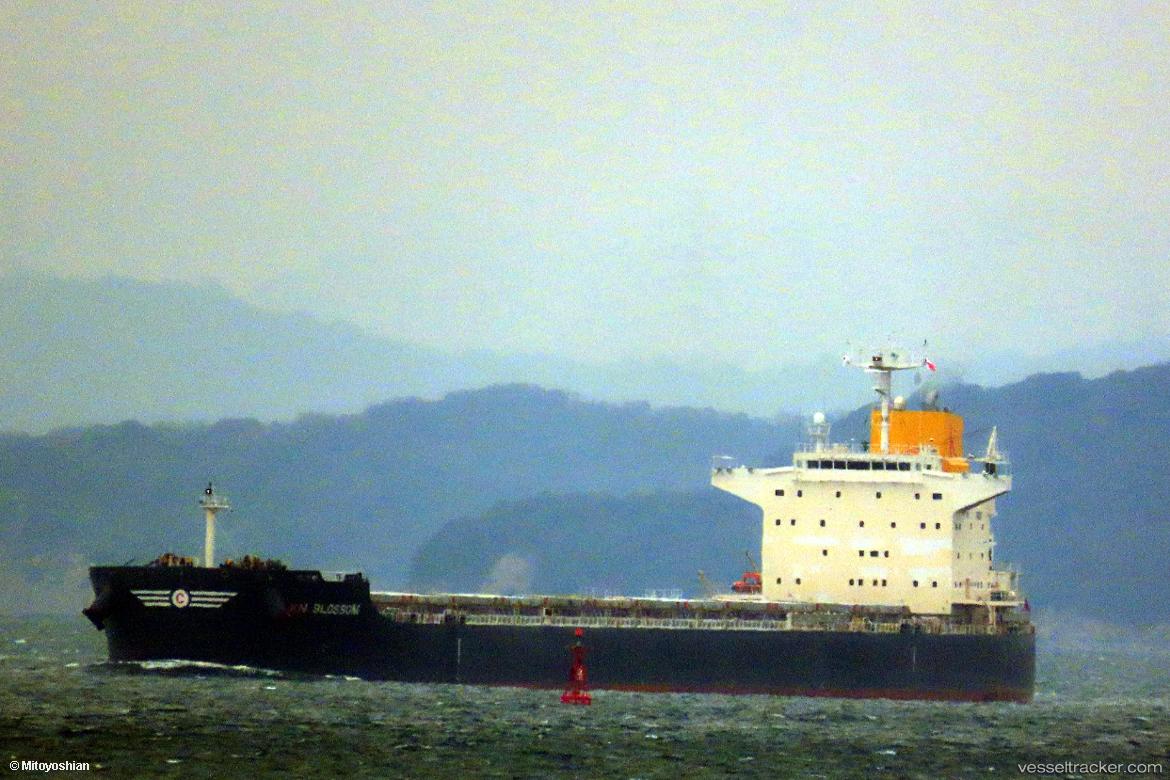 Kn-Blossom - Bulk Carrier