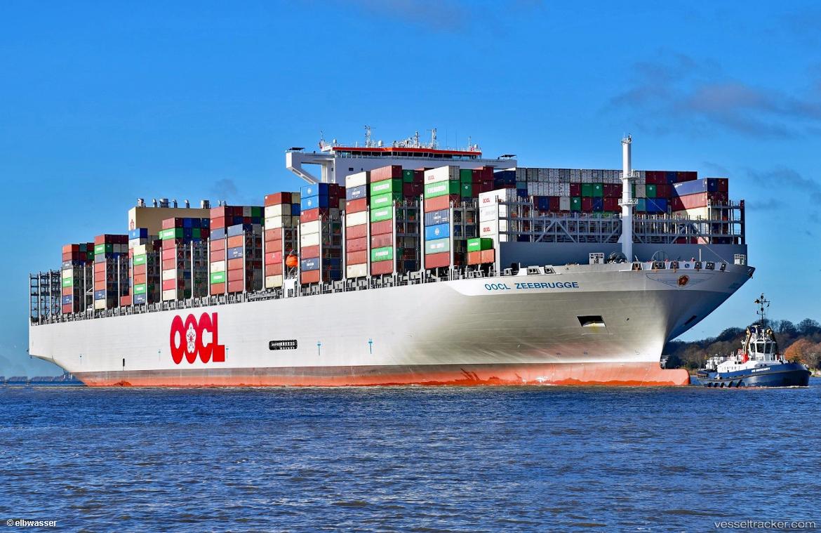 Oocl-Zeebrugge - Container Ship