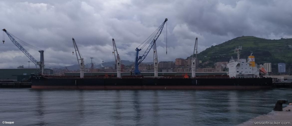 Great-Voyage - Bulk Carrier vessel