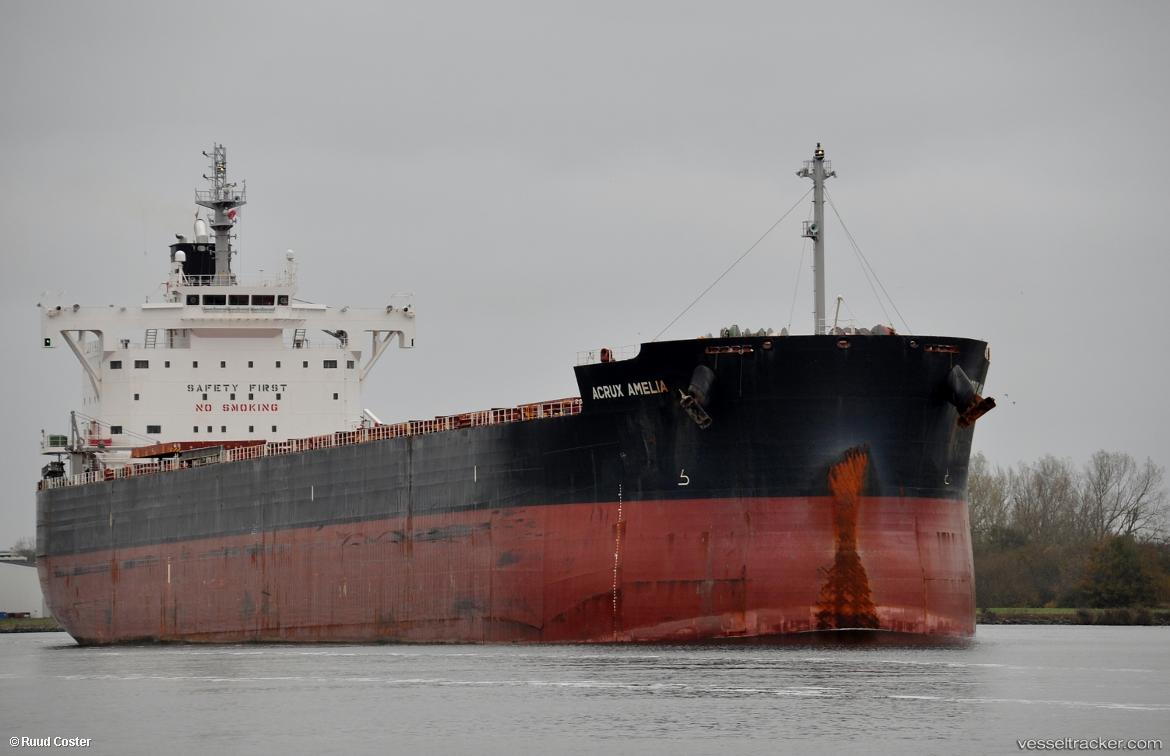 Acrux-Amelia - Bulk Carrier vessel