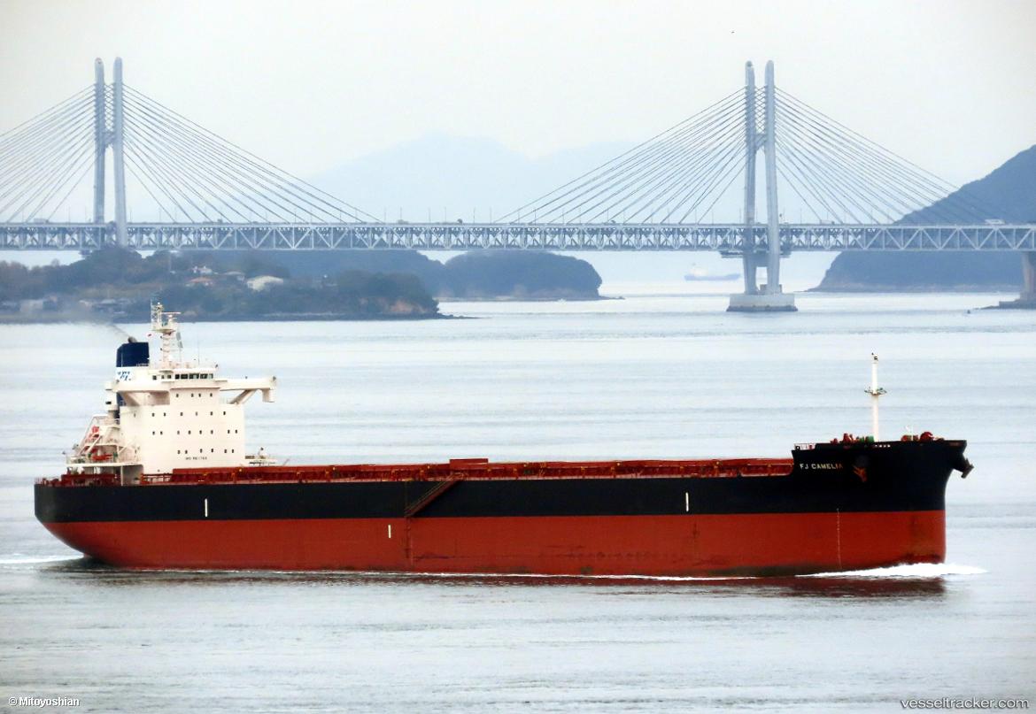 Fj-Camelia - Bulk Carrier vessel