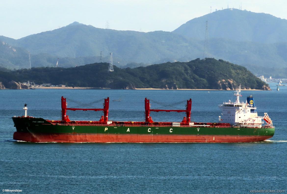 Pac-Ankaa - Bulk Carrier vessel