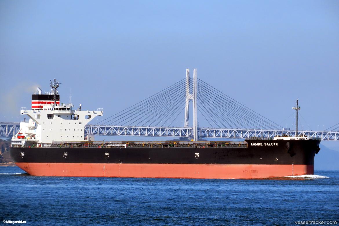 Amabie-Salute - Bulk Carrier vessel