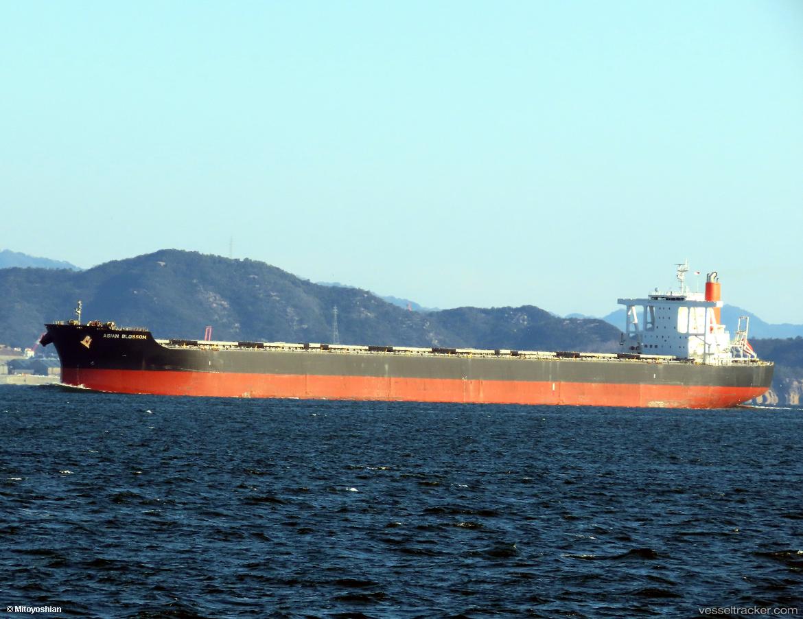 Grand-Sakura - Bulk Carrier vessel